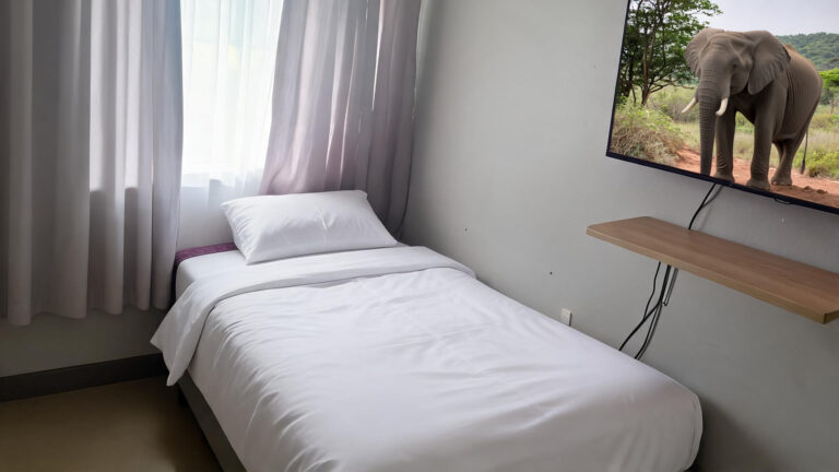 SAVF COSMOS property image 3